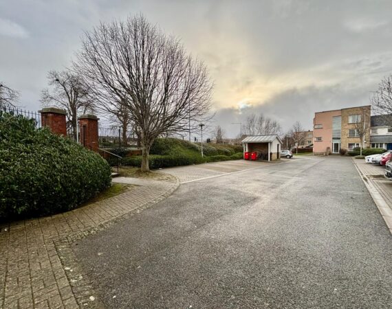 WhatsApp Image 2026-01-21 at 12.11.56