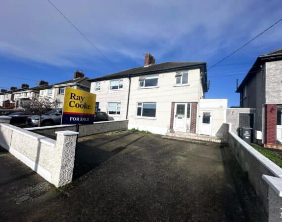 WhatsApp Image 2026-01-29 at 14.52.29