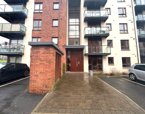 WhatsApp Image 2026-02-20 at 15.49.27 (3)