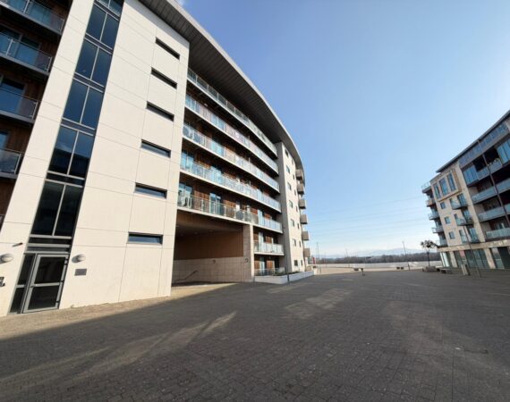 WhatsApp Image 2026-03-04 at 15.17.56