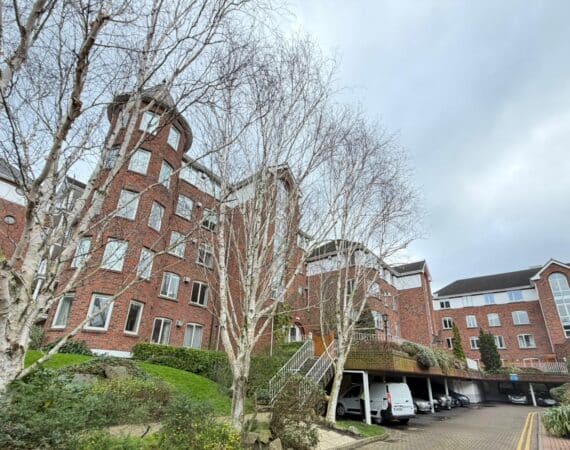 WhatsApp Image 2026-02-16 at 15.49.50