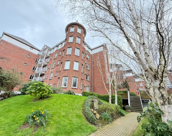 WhatsApp Image 2026-02-16 at 15.49.52