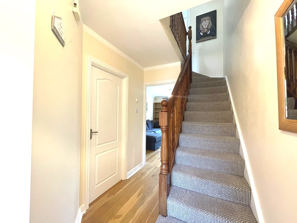IMG_4808