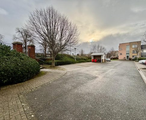 WhatsApp Image 2026-01-21 at 12.11.56