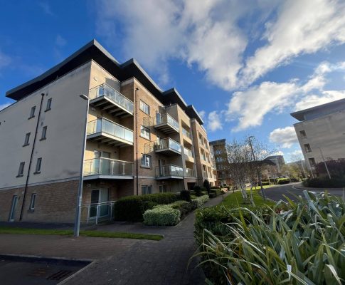 WhatsApp Image 2026-04-24 at 15.52.50