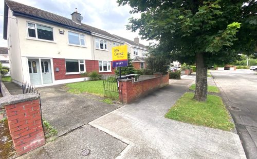 image11