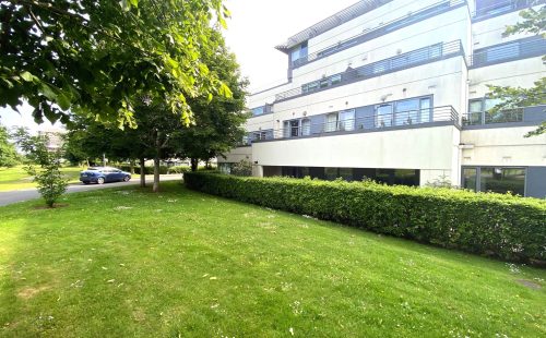 image11