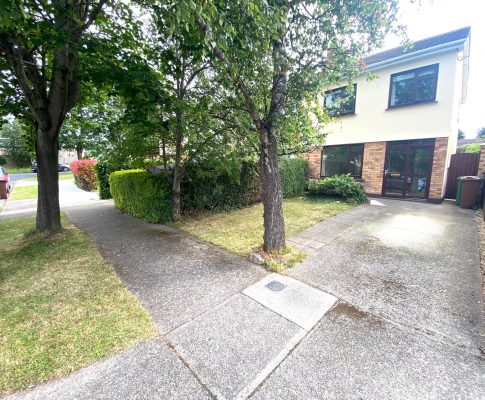 image7(1)